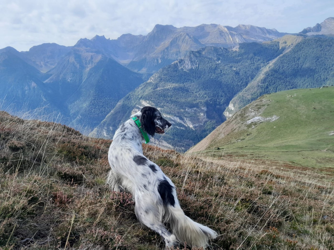 Valda des grès rouges Des Grés Rouges
