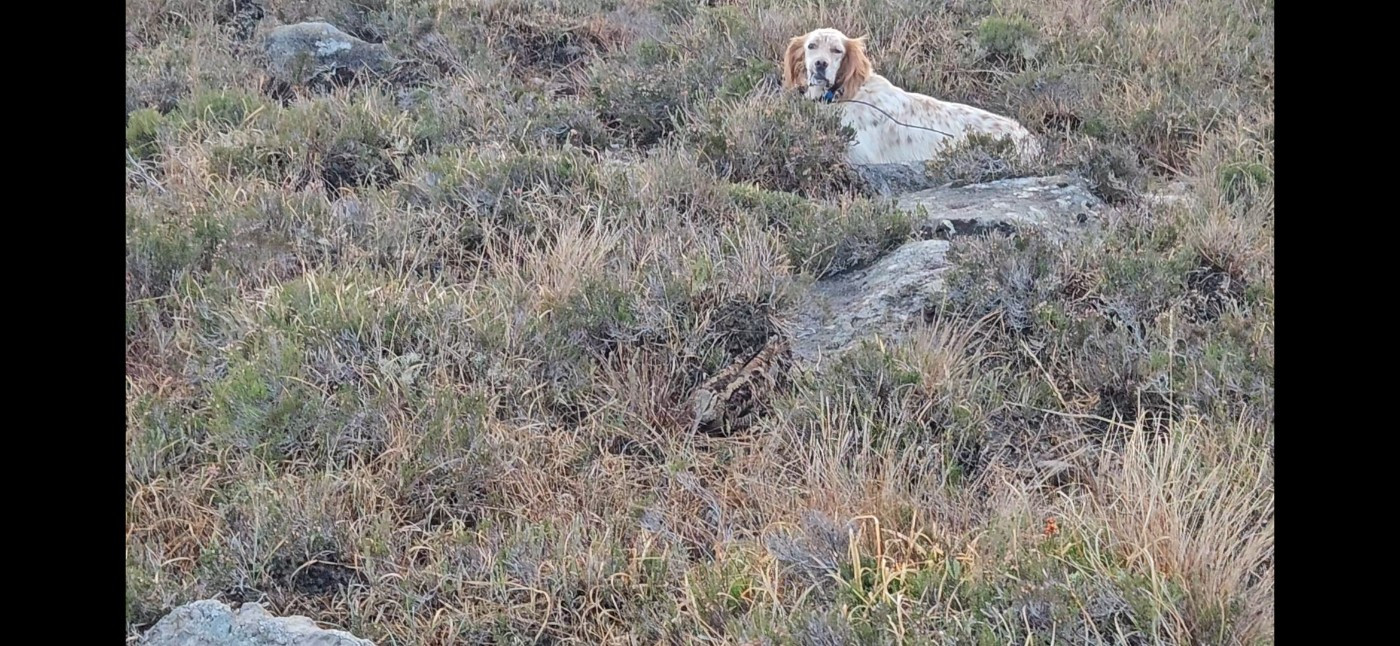 Rumba des terrasses de l'arradoi Des Grés Rouges